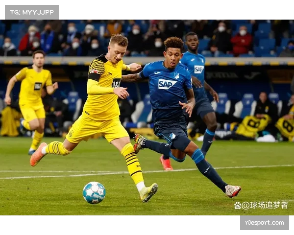 霍芬海姆1-1云达不莱梅，双方门将均贡献多次关键扑救